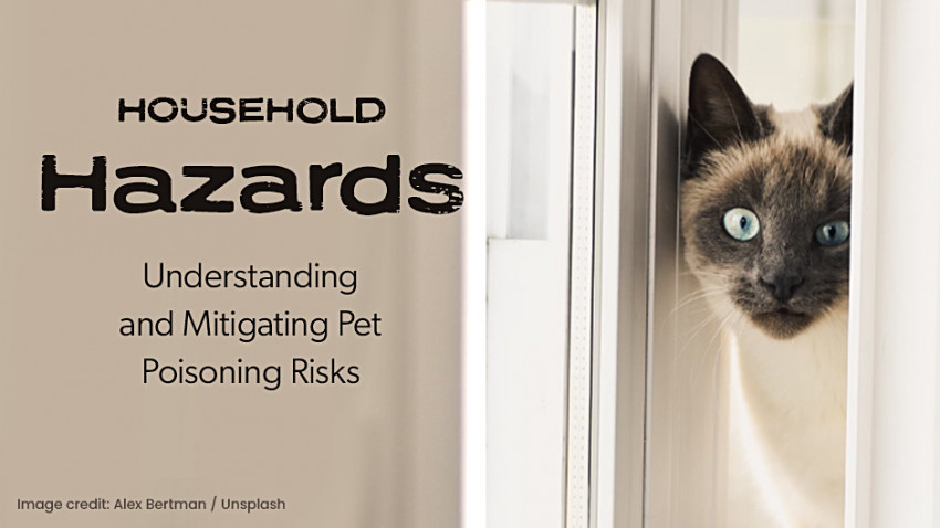 Household Hazards: Understanding and Mitigating Pet Poisoning Risks