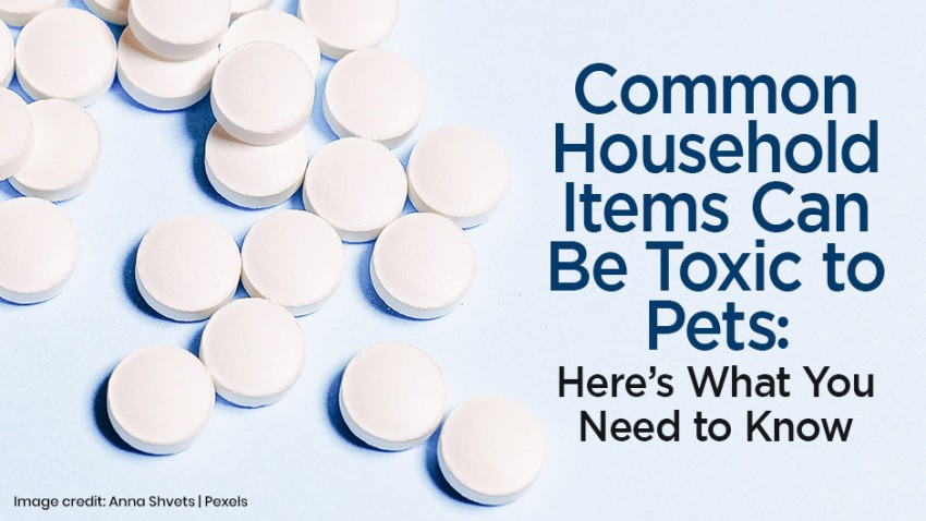 Image of several white round tablets on a light blue background with text that reads, "Common Household Items Can Be Toxic to Pets: Here’s What You Need to Know.