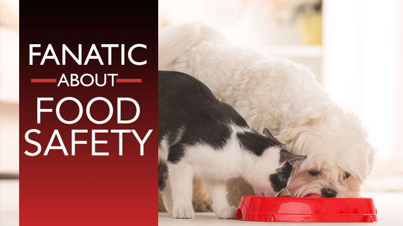 A cat and a dog eat together from a red bowl. The text on the left reads "Fanatic About Food Safety.