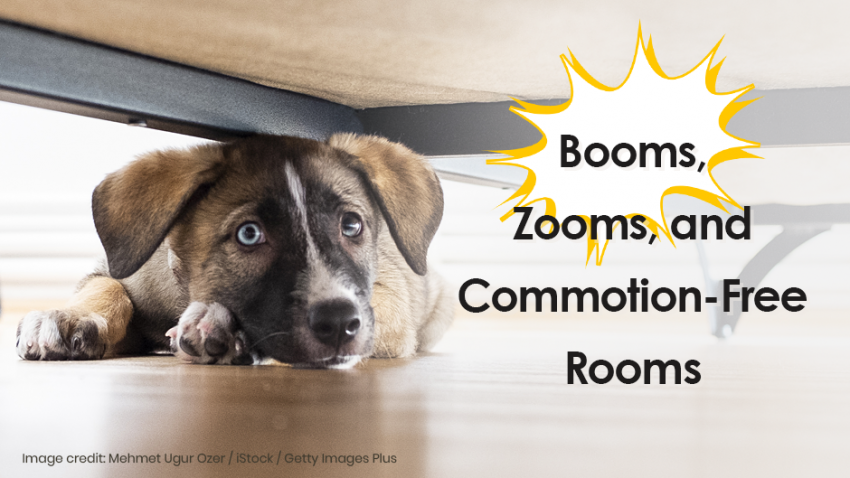 A puppy lying on the floor under a bed next to the text: "Booms, Zooms, and Commotion-Free Rooms." Image credit to Mehmet Ugur Ozer / iStock / Getty Images Plus.