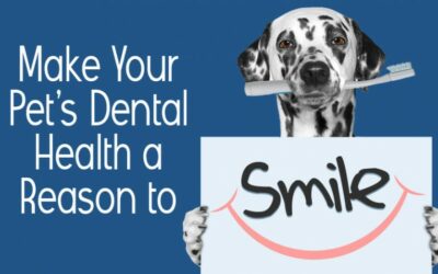 Make Your Pet’s Dental Health a Reason to Smile