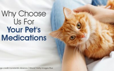 Why Choose Us for Your Pet’s Medications