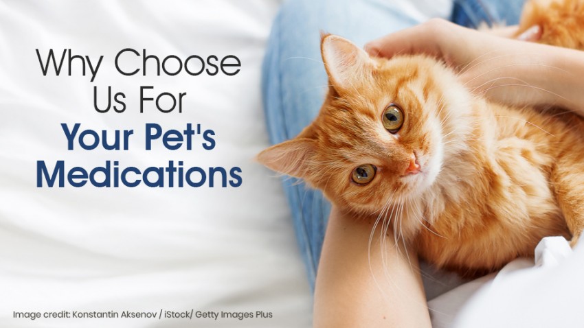 Person holding an orange tabby cat next to the text, "Why Choose Us For Your Pet's Medications." Image credit: Konstantin Aksenov / iStock / Getty Images Plus.