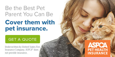 A person cuddling a cat next to text promoting ASPCA pet health insurance and a "Get a Quote" button.